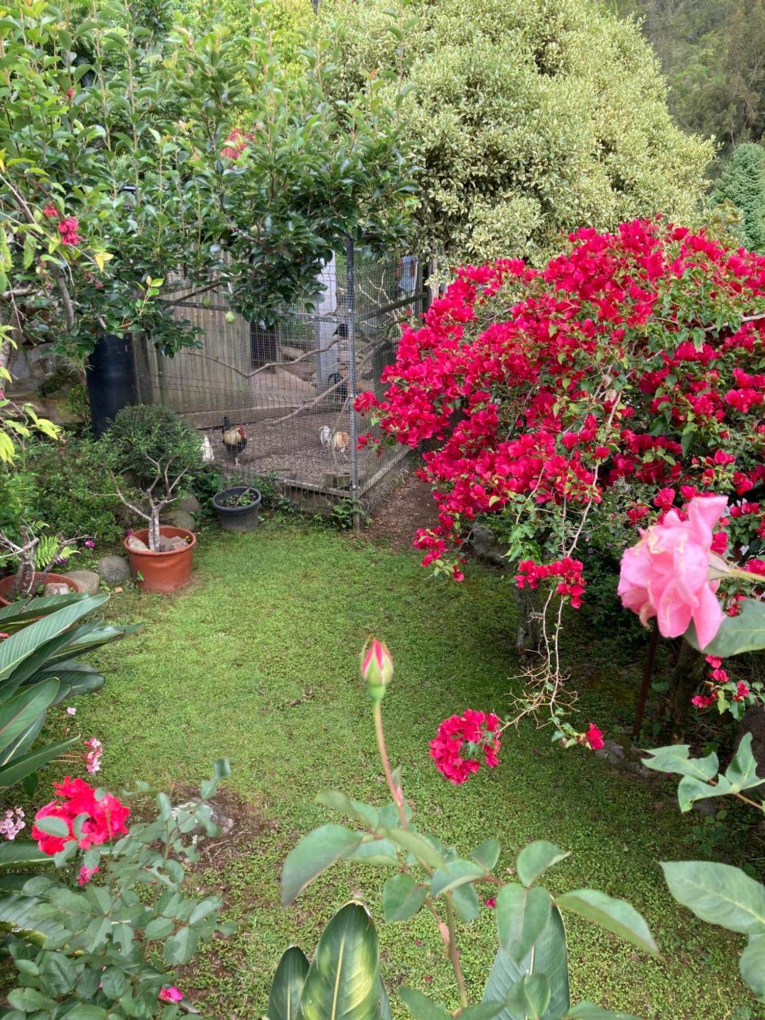 הוילה סילאוס Les Begonias מראה חיצוני תמונה